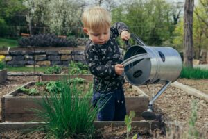 DIY Keyhole Garden: A Dad’s Guide to a Garden for Sustainable Family Living