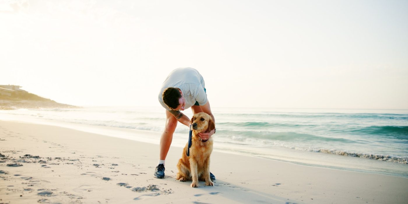 Travel, man or affection to dog at beach for loyalty, companion or holiday adventure with playing. Vacation, person or pet animal at seaside for bonding, relax together or fresh air with mockup space