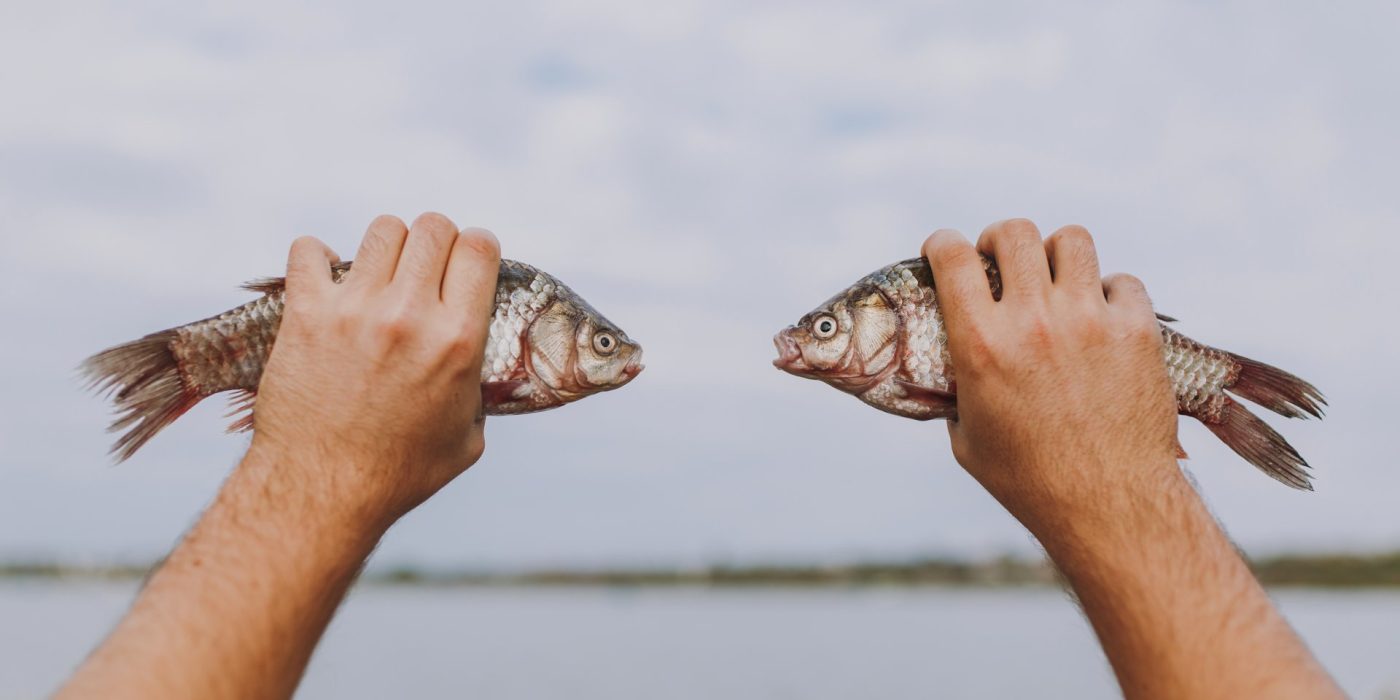 Close up A man holds in his hands two fish with open mouths opposite each other on a blurred lake and sky background. Lifestyle, recreation, leisure concept.